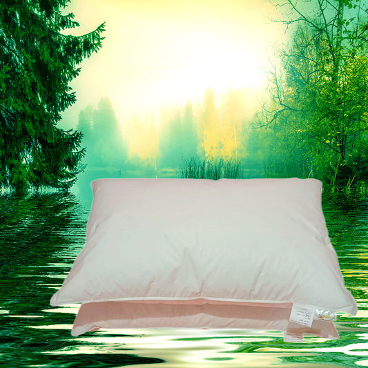 Apex High-Loft White Goose Feather Cushion - Pure Cotton Casing (Single Piece - 48x74cm)